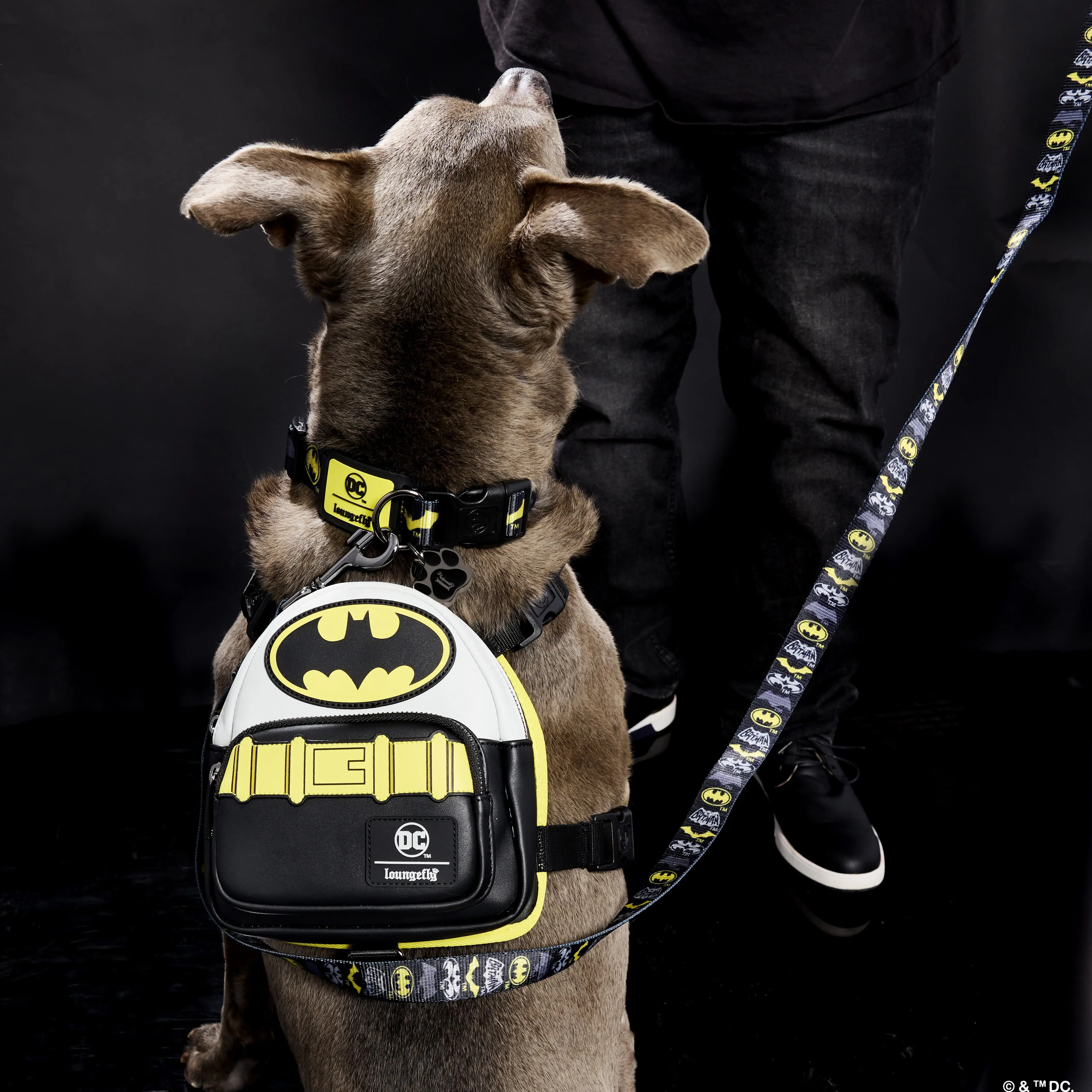 DC Comics Batman 85th Anniversary Leash - Image 2
